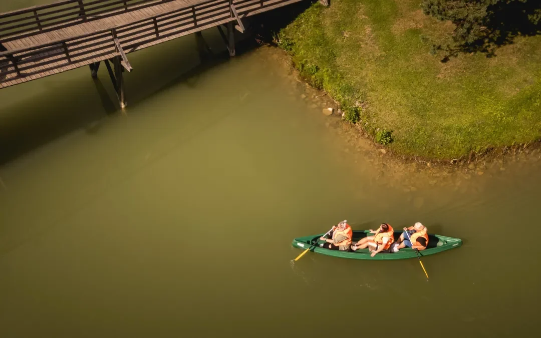 Collaboration projects